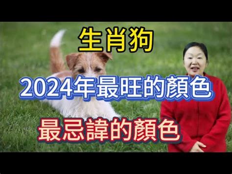 生肖狗幸運色|【狗的幸運色】狗年迎好運！必知屬狗者幸運色，旺運驅邪一整。